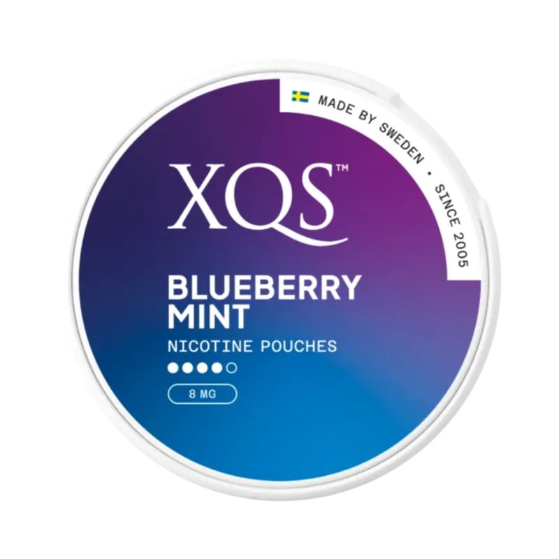 Front view of XQS Blueberry Mint nicotine pouch - 8mg strength with minty blueberry flavor.